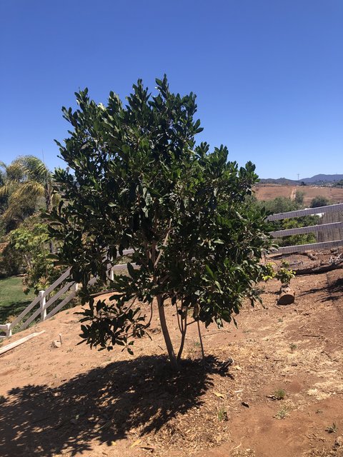 758D674F-1F01-4B49-9A54-638F9B14980D