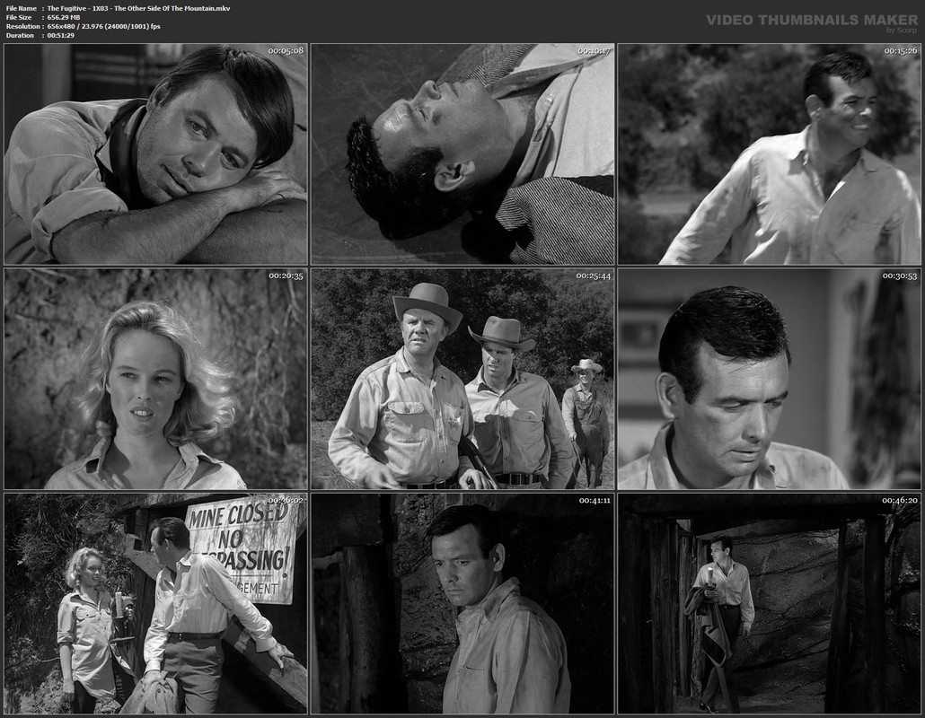 The Fugitive - 1X03 - The Other Side Of The Mountain.mkv