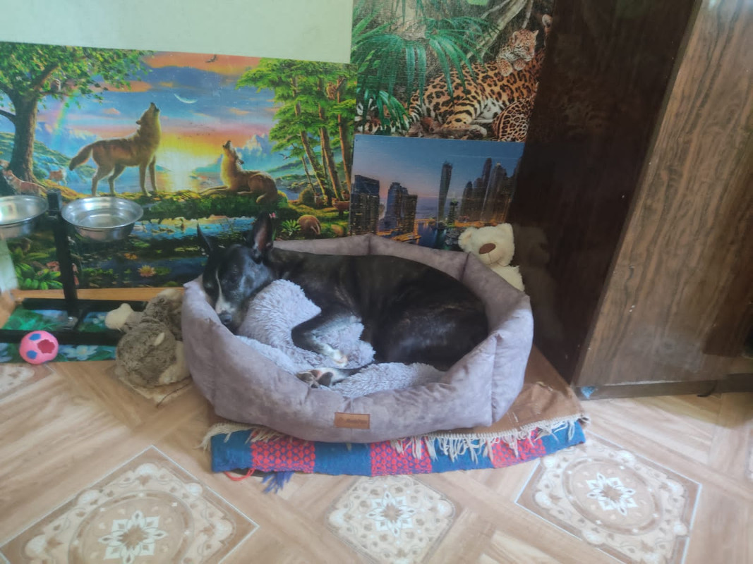 1A2C2AAB-987B-4DC5-BBF4-05CCEB16A17B