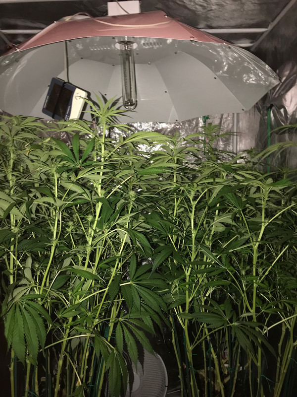 5185F2E1-6CB3-4892-BEC6-B907BDEF39DD