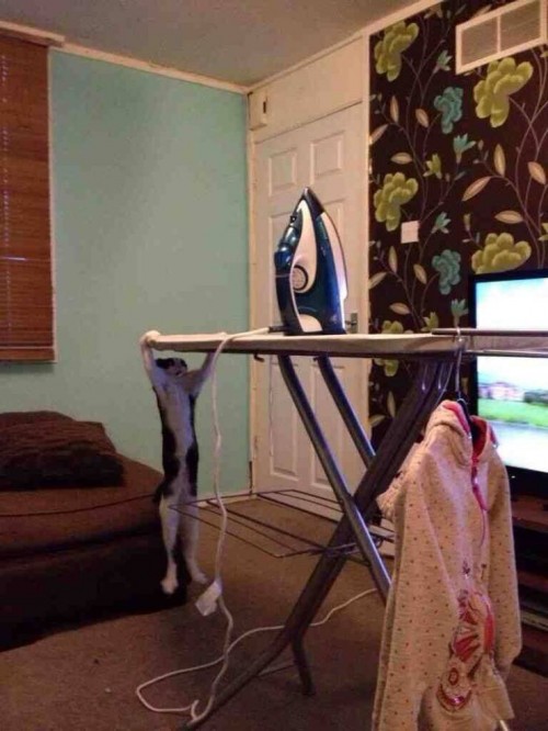 thumbs-picdump753-107.jpg