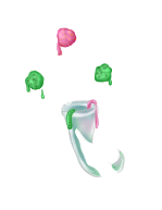 https://i.postimg.cc/pLGxpnfz/Item-glace.png