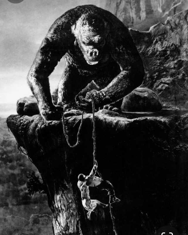 Screenshot_20240212_220153_Pinterest