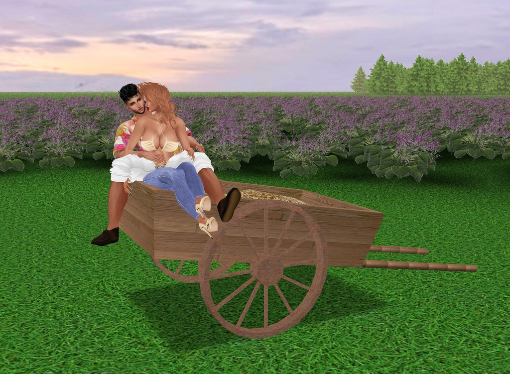 Hay-Cart