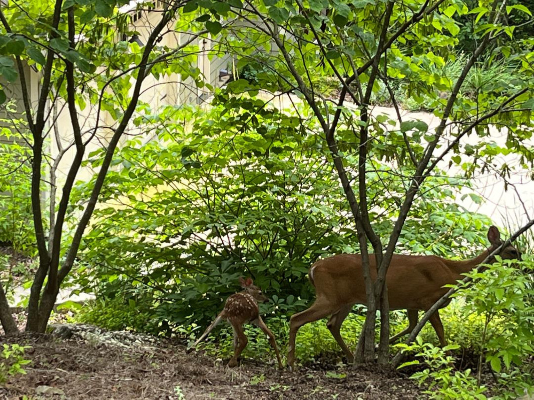 thumbnail - 2023-07-05T174224.989