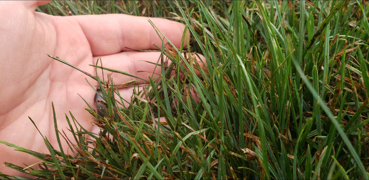 Screenshot_20210813-142855_Gmail