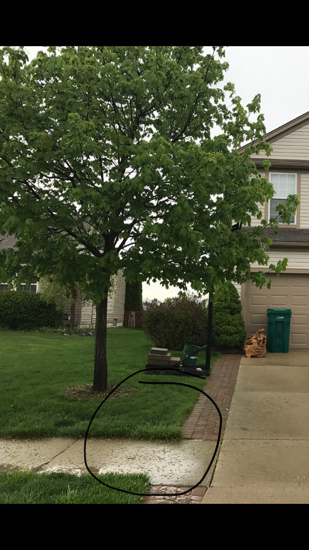 09E883E2-960A-4D9A-B509-C9237E66D7E5