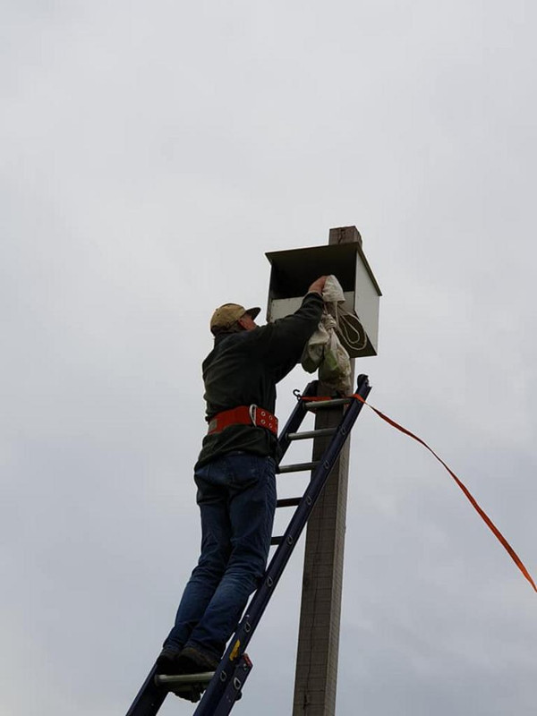 62057867_1165511946943840_7459090847087198208_n