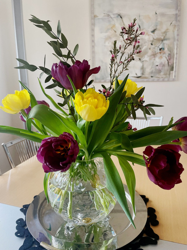 638381722-4444216499156569-5338903601130136836-n-(1)