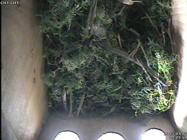 6B8CA03B-150E-4121-B22E-DE39830ECBEE