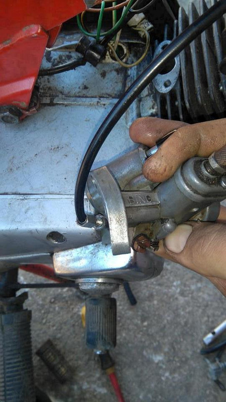 1931263_463536543833355_133068169477576112_n