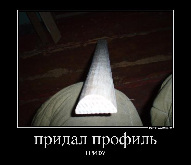 356842_pridal-profil_demotivators_ru