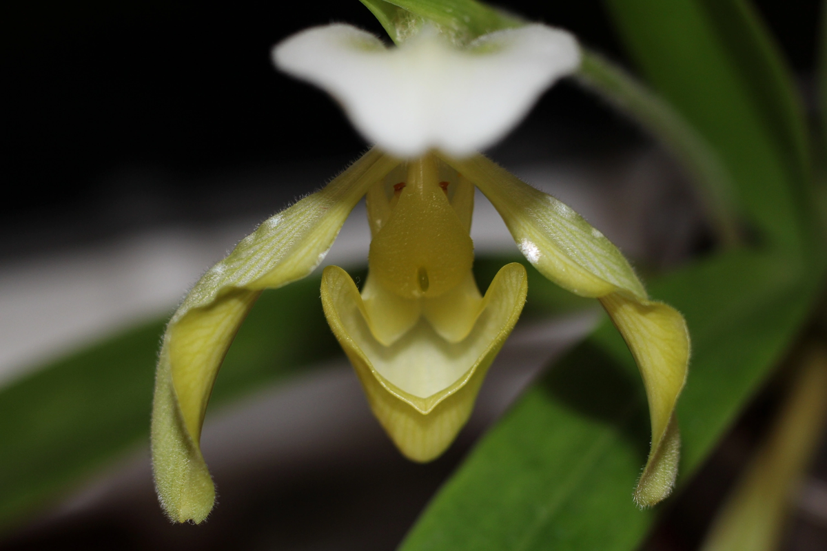 A8B52514-576A-4848-A83A-A427181AA3C1