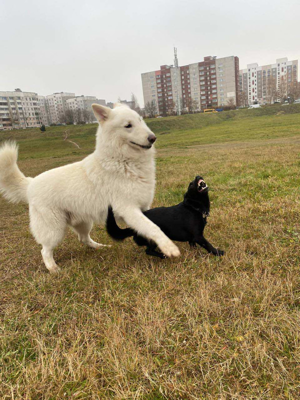 IMG-3ac515deb994b19e834b03034e00b682-V