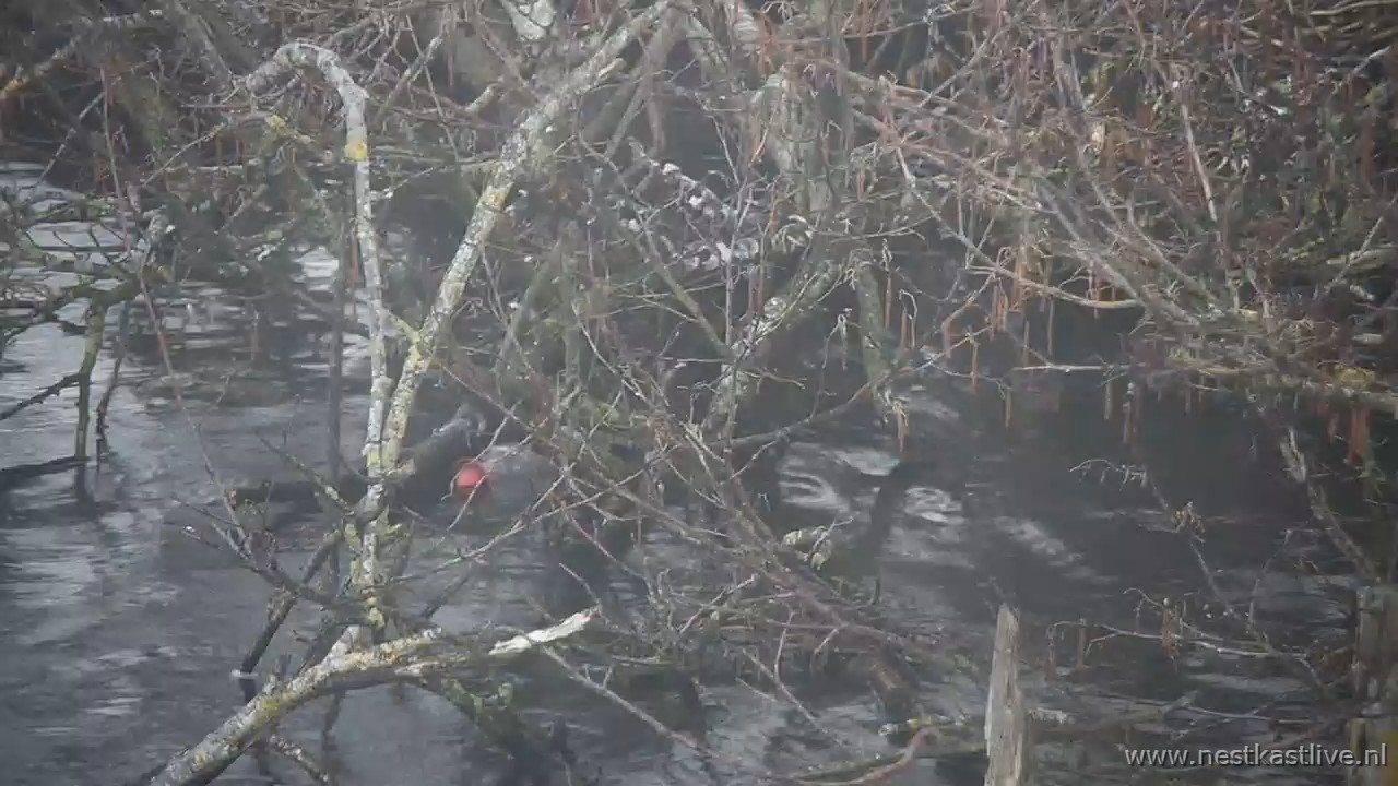 snapshot 2026 03 28T181016 060