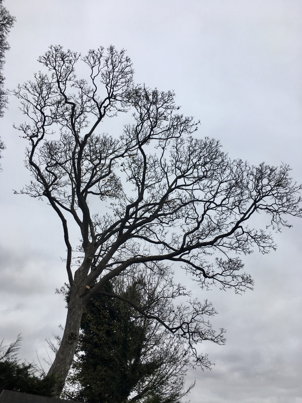 52F01045-8549-42F1-B368-CF49F8C06C74