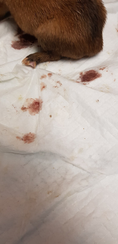 4125CC3F-C338-4B7D-B500-2DAE9F4239C4