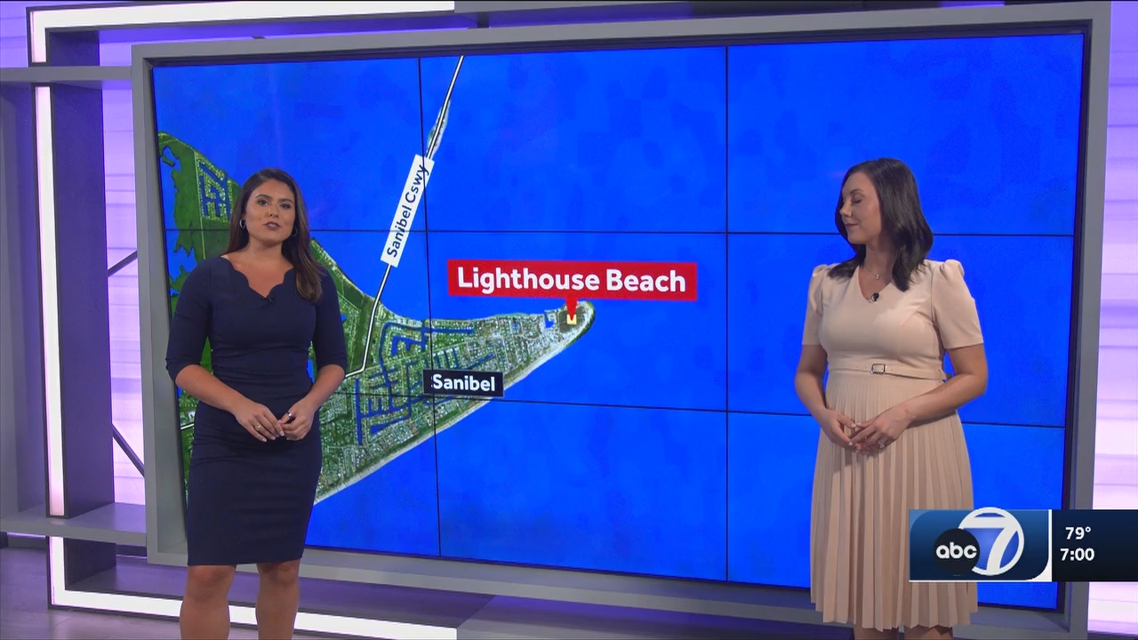 09.04 - 00.00.00 - ABC7 7O'Clock News  ᴺᵉʷ..ts_snapshot_03.46.137