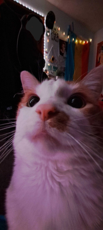 :