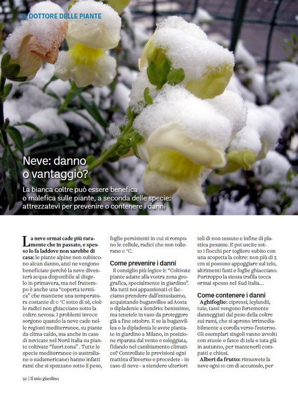 il mio Giar Feb-Mar 2024 (7)