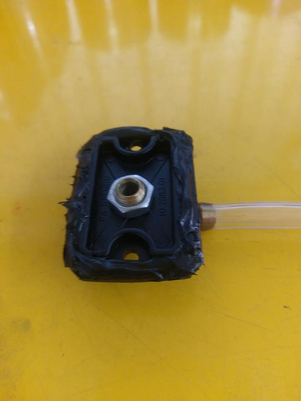 18670735_10154518461610423_874010987432712955_n