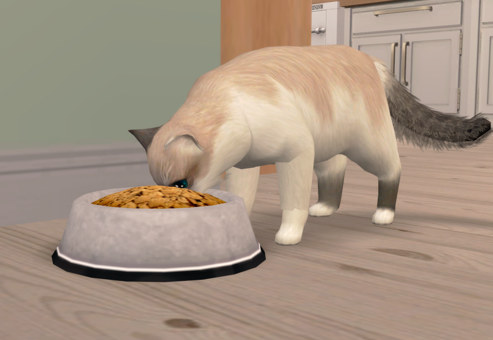 Sims2-EP9-RPC-2021-11-04-18-43-12-98