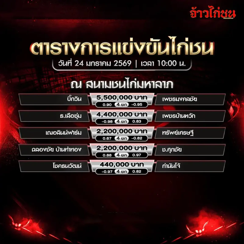 โปรแกรมไก่ชน สนามชนไก่มหาลาภ วันที่ 24 มกราคม 2569 เวลา 10:00 น. ตารางการแข่งขันพร้อมราคาและจำนวนยก