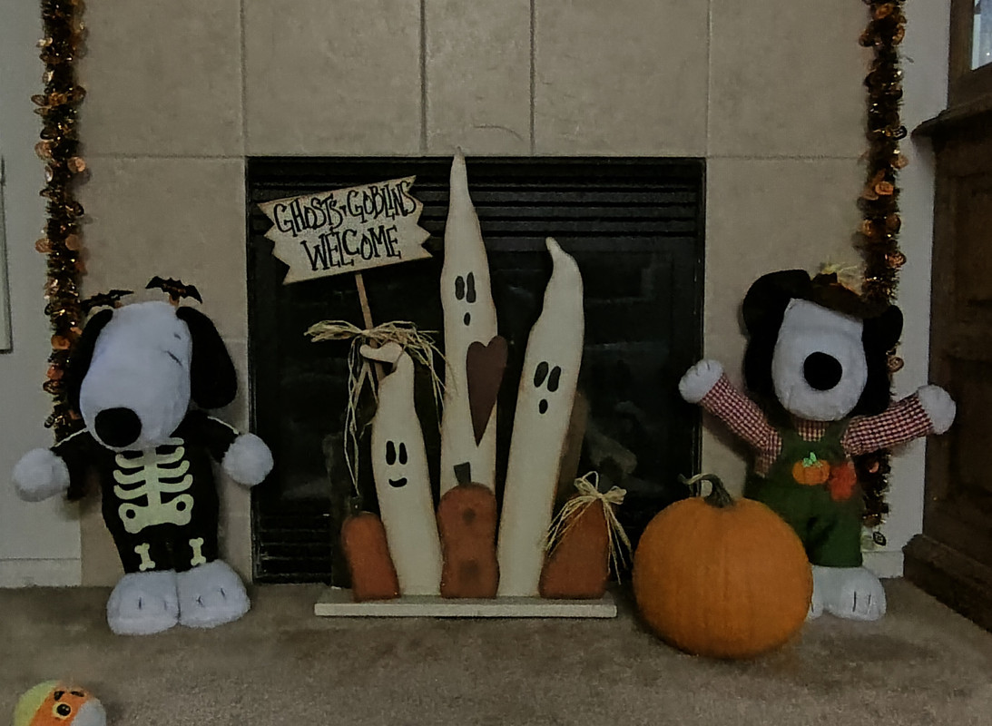 IMG_20241011_152609534