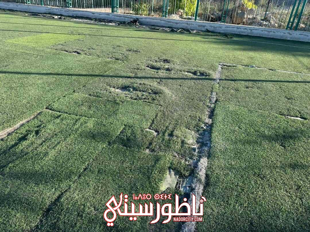 541165496-1459949578651156-5621533183203325870-n
