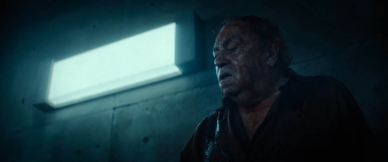 The Platform 2 2024 WebRip [Hindi + English] 480p, 720p ESub Screenshot
