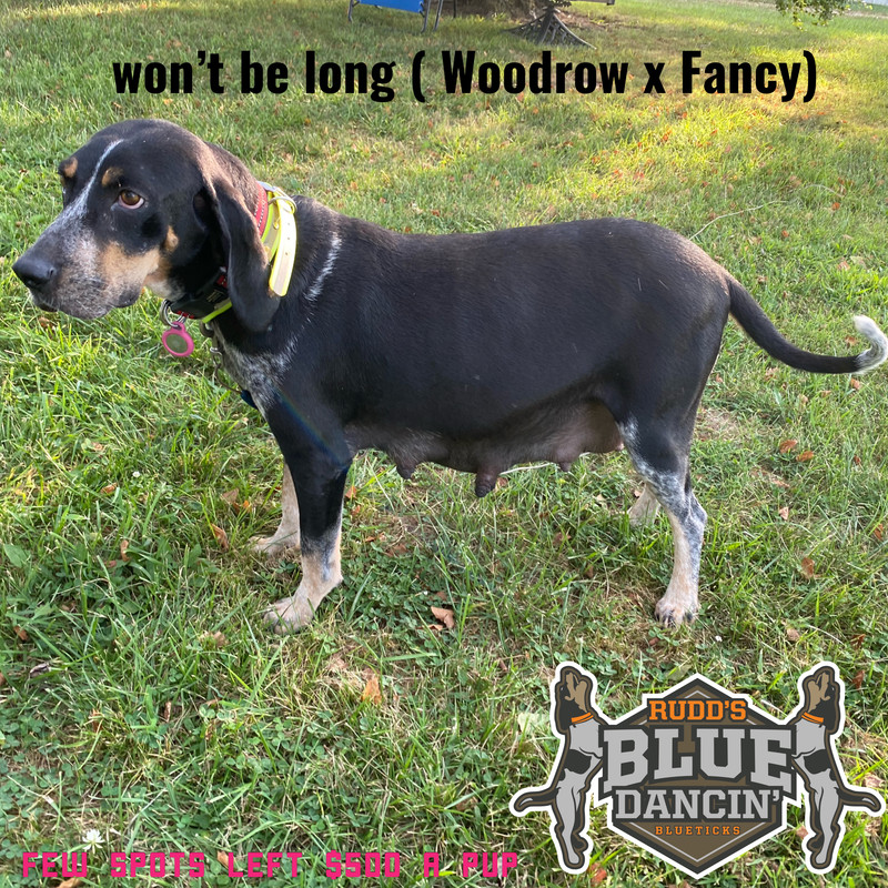 E164A32C-23DC-45B7-A8F5-C3CF0C7FC830