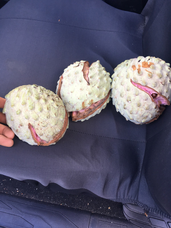 0EB1F5B4-CD76-4A3D-A864-679C60E1E4F4