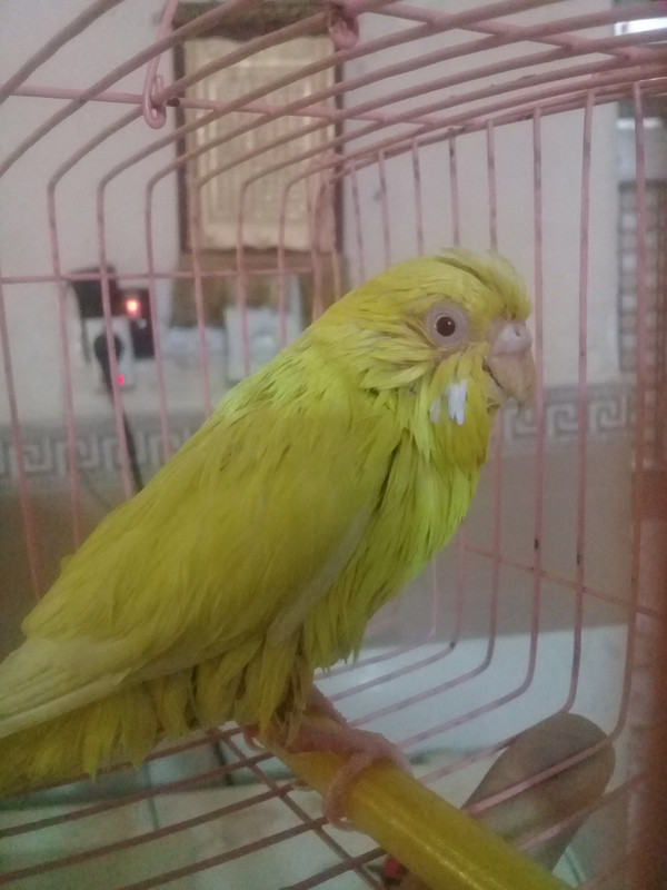 ٢?١٨?٦٢٨_١٢٢٧٣٨