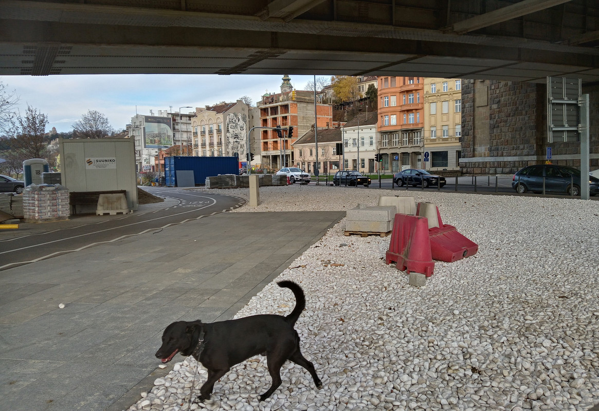 20201204_132154_HDR(1)