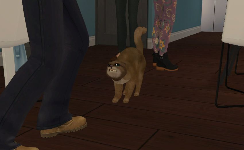 Sims2-EP9-2021-01-22-20-44-55-67