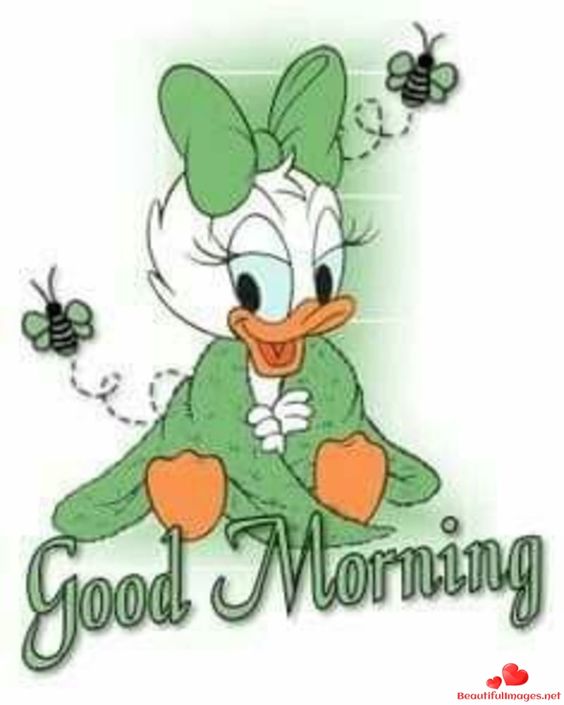 Good Morning, Good Afternoon, Good Evening, Good Night, Good Day!