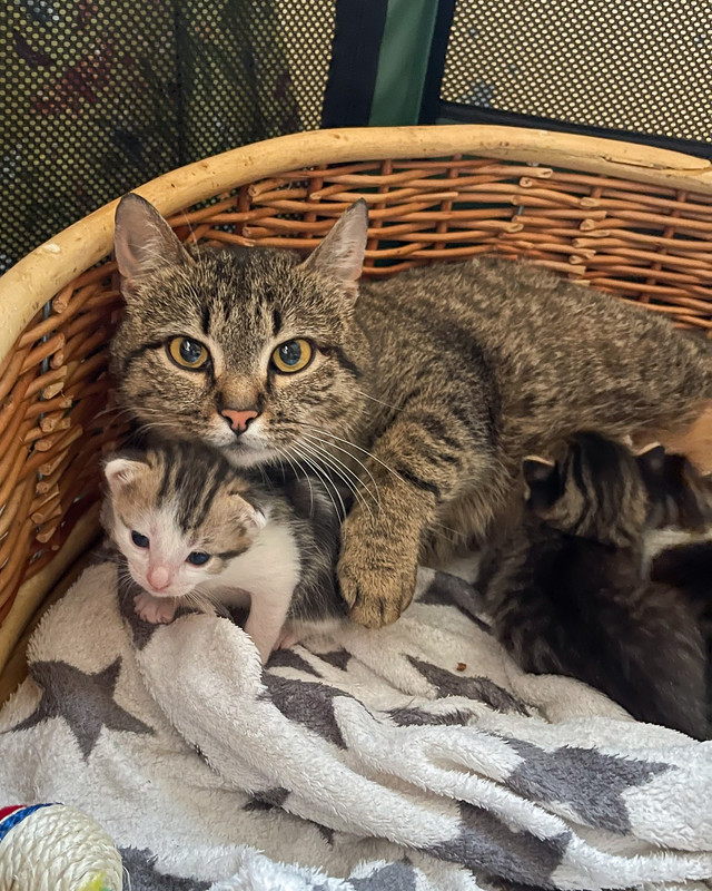 A7DDE440-B230-4F8D-A87D-8A9CD92214C7