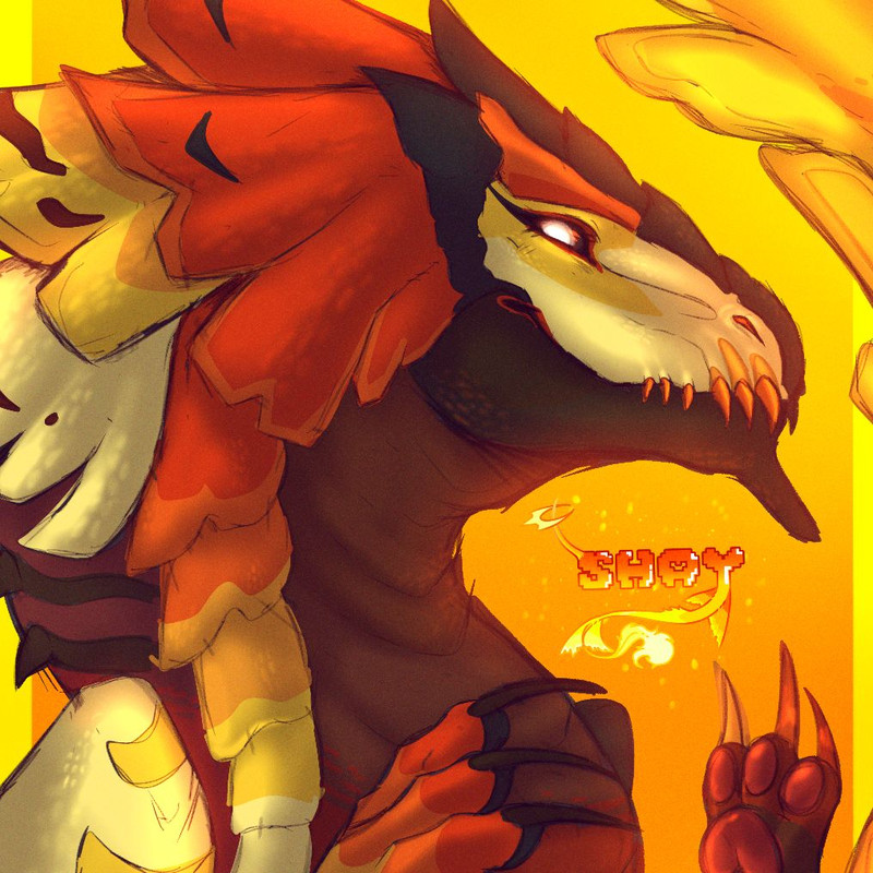 Shay avatar