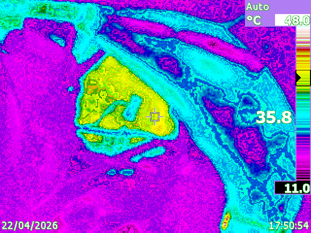 IR001424