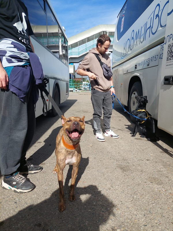 57FA2BCA-9E28-41A5-B242-B0EF293D36DE