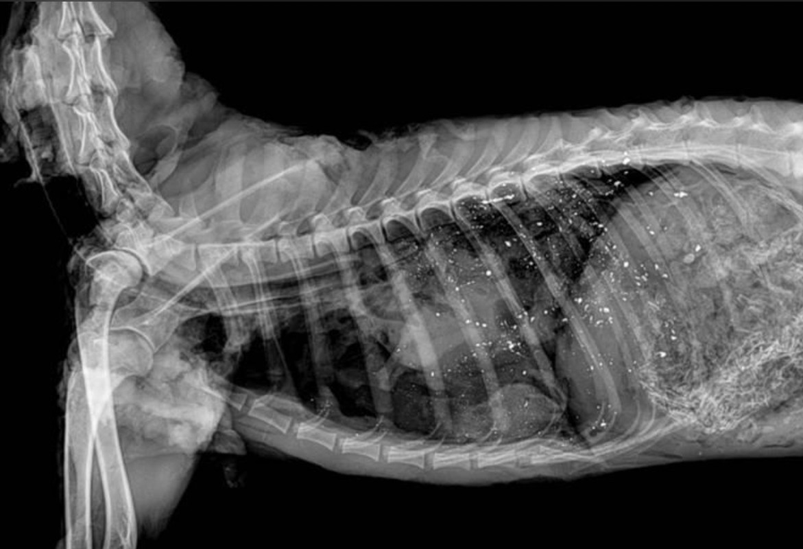 564E6618-B8F5-4358-BEBF-8B4ABADF3DB6