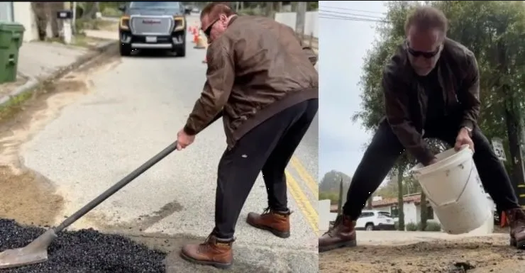 Arnold Schwarzenegger 