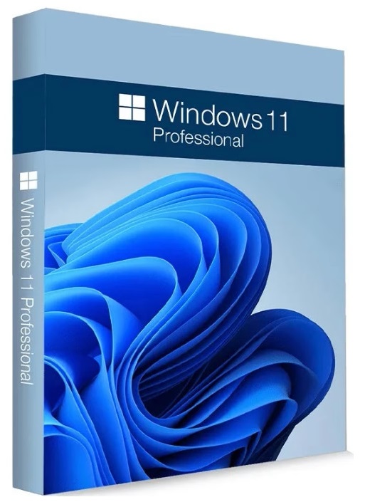 Windows-11-Pro-24-H2.jpg