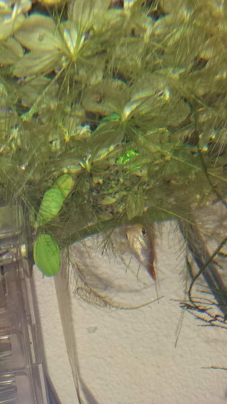 Screenshot_20170721-205054