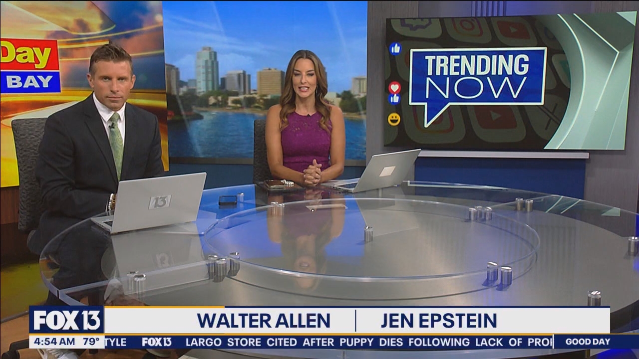 FOX13s Good Day Tampa Bay at 400am_20240718_09000930.ts_snapshot_55.01.594