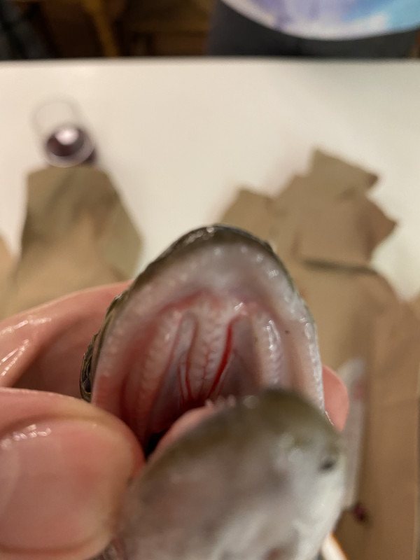 2AADCE02-2917-4E48-937F-E32C9639A9E0