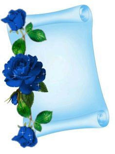 4b8d97f135b0b11c3e58d96cf2844618