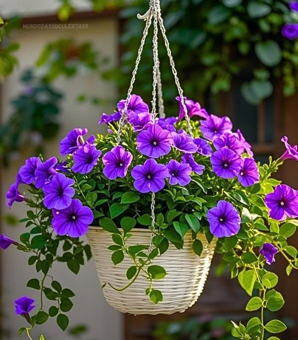 671634065-1494169758819042-815286799366578318-n