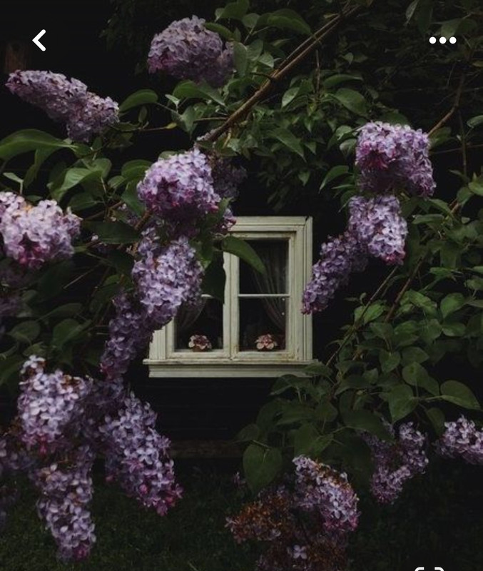 Screenshot_20240405_203621_Pinterest