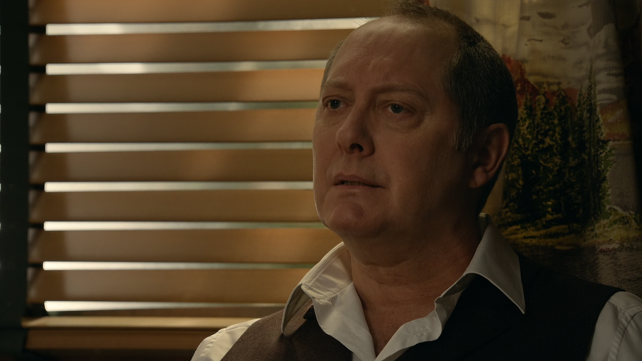 The.Blacklist.S09E14.Eva.Mason.1080p.10bit.AMZN.WEB-DL.DDP5.1.HEVC-Vyndros.mkv_snapshot_04.35_[2022.